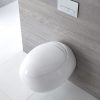 Abattant WC Duroplast Langtree Avec Frein de Chute - Exposition
