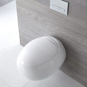 Abattant WC avec Frein de Chute